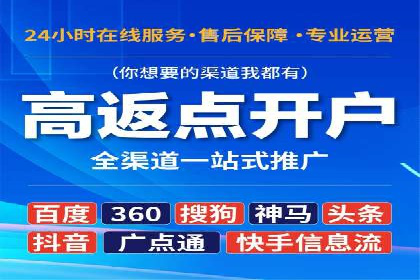 竞价端口开户后的广告投放策略案例